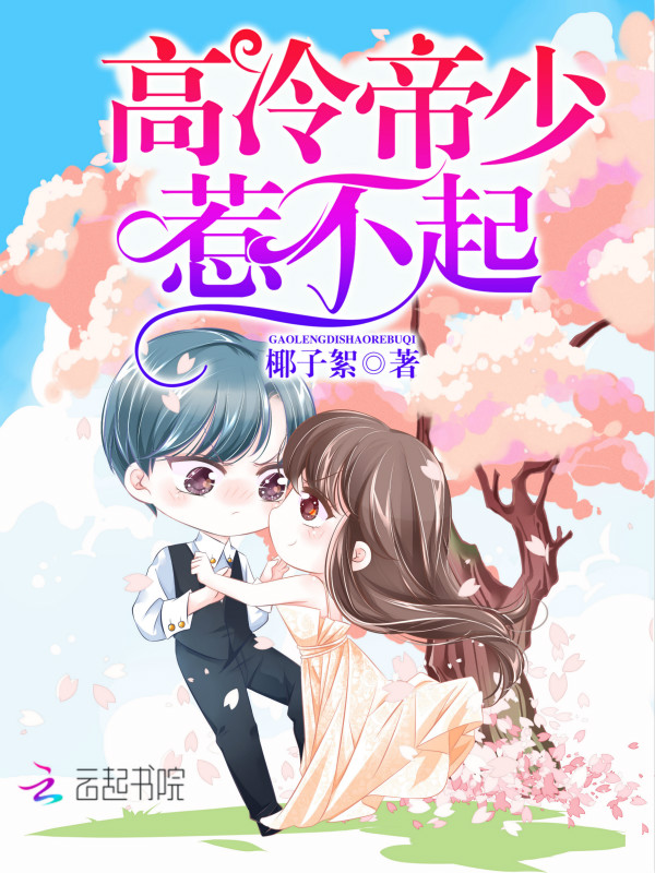 高冷帝少，惹不起