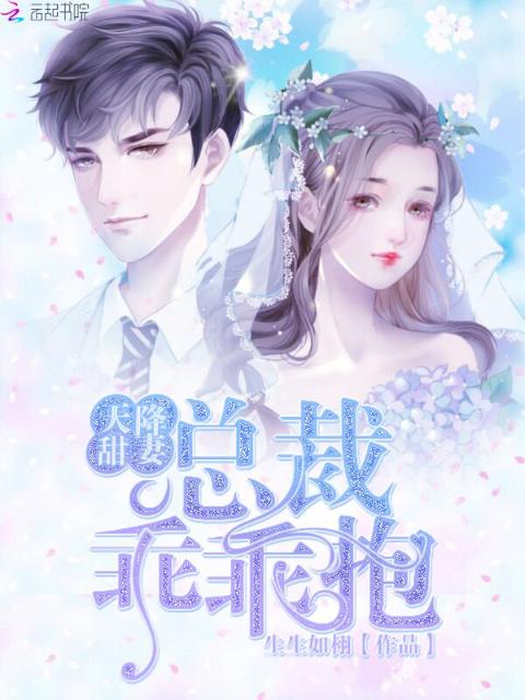 天降甜妻：总裁乖乖抱