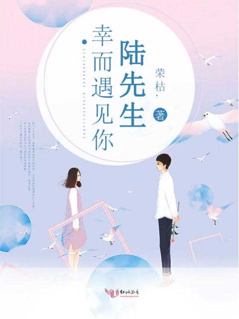 陆先生，幸而遇见你
