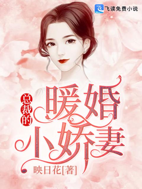总裁的暖婚小娇妻