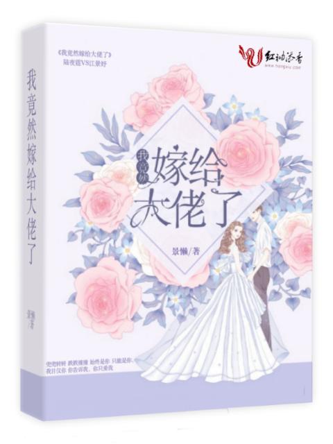 我竟然嫁给大佬了