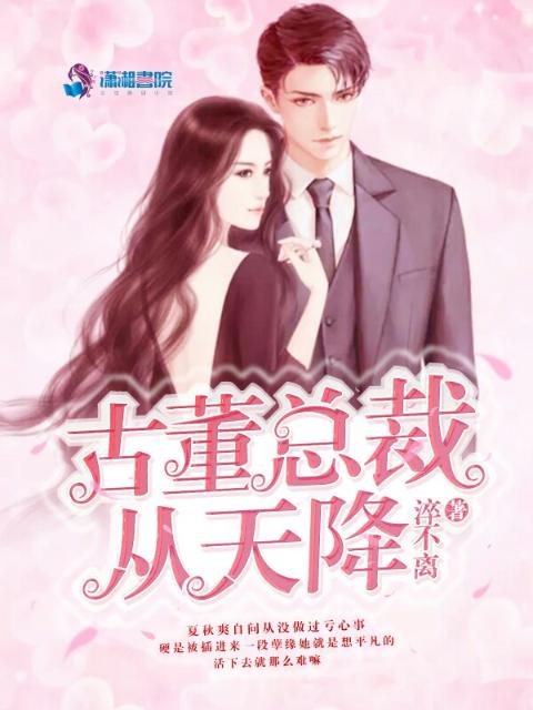 古董总裁从天降