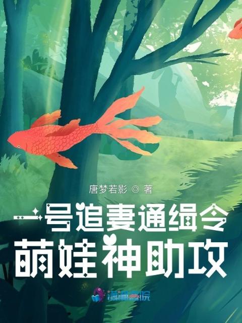 一号追妻通缉令：萌娃神助攻