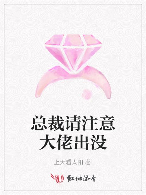 总裁请注意大佬出没