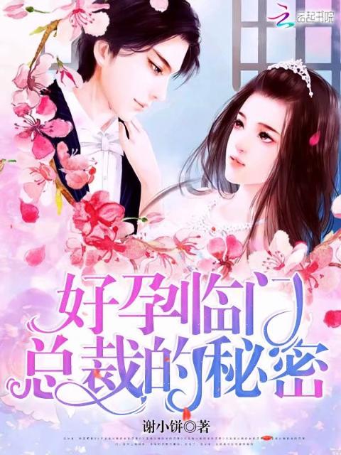 好孕临门：总裁的秘密