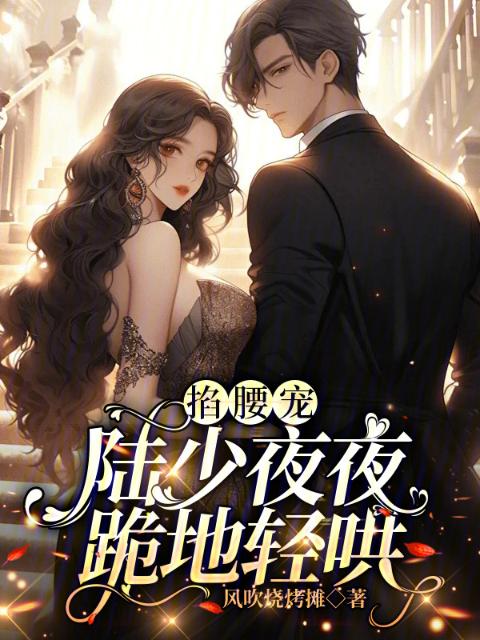 掐腰宠，陆少夜夜跪地轻哄