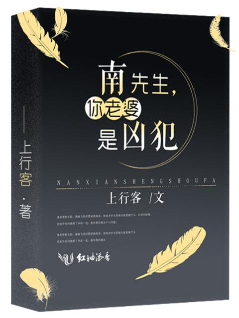 南先生，你老婆是凶犯