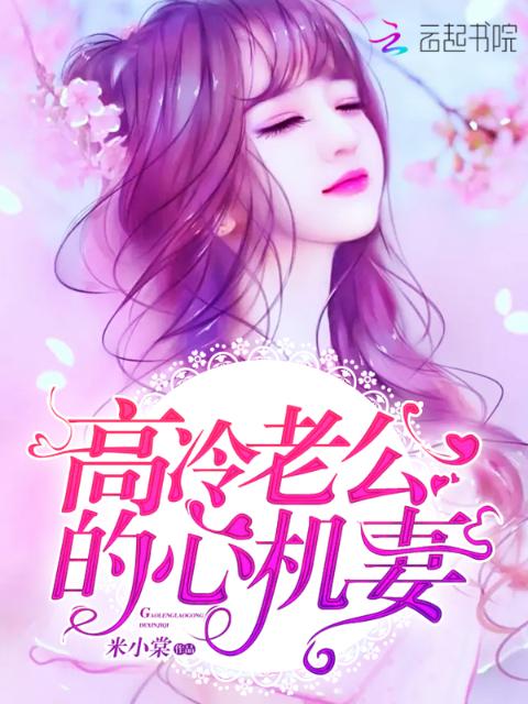 高冷老公的心机妻