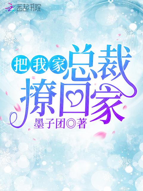 把我家总裁撩回家