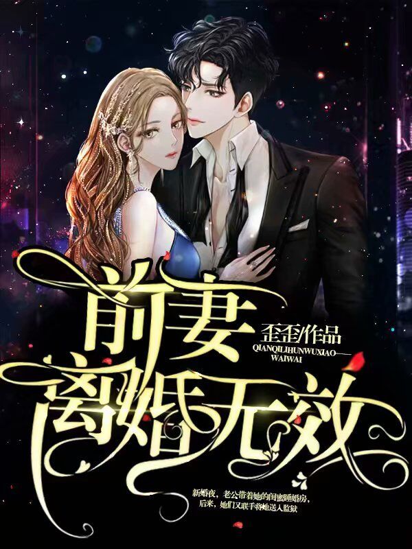 前妻，离婚无效！