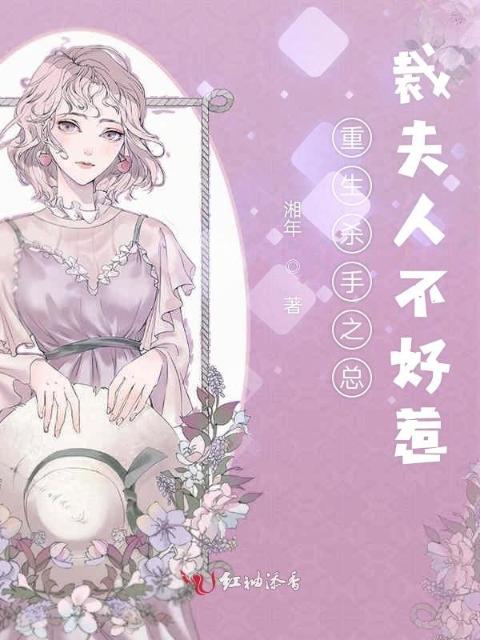重生杀手夫人不好惹