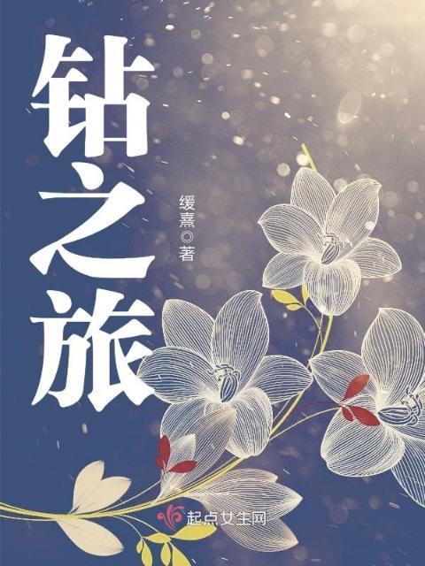 钻之旅