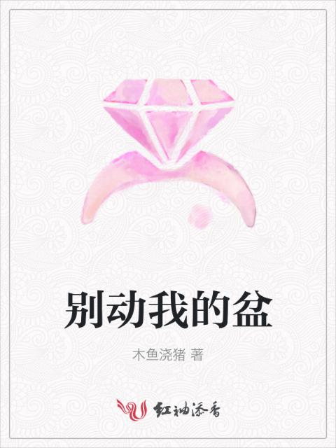 别动我的盆