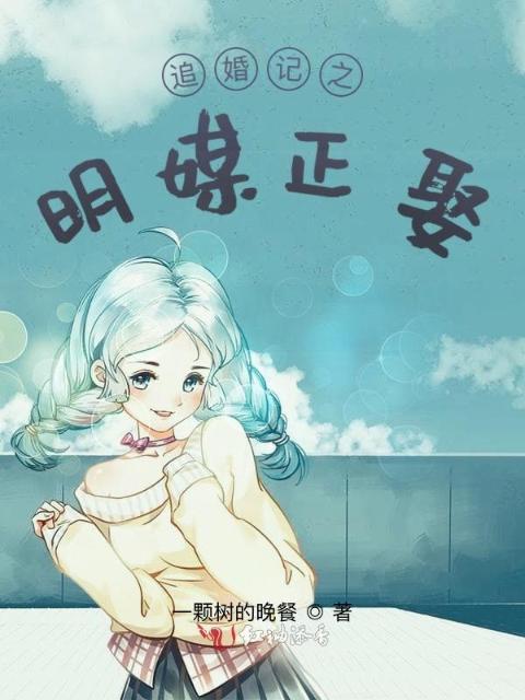 追婚记之明媒正娶