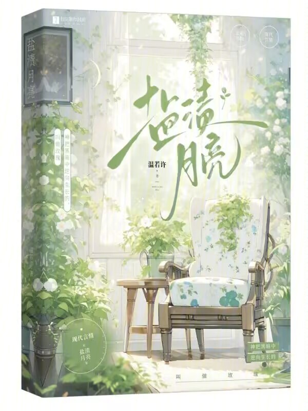 盐渍月亮