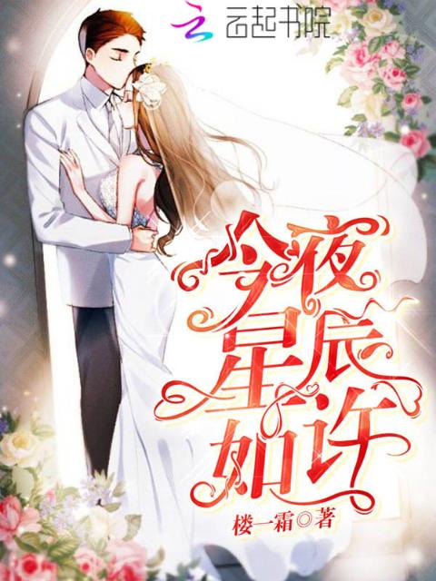 今夜星辰如许
