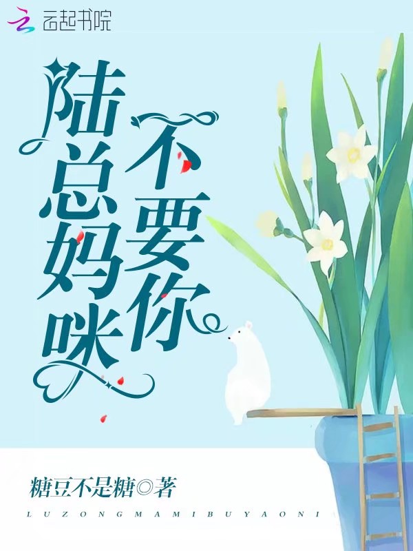 陆总妈咪不要你