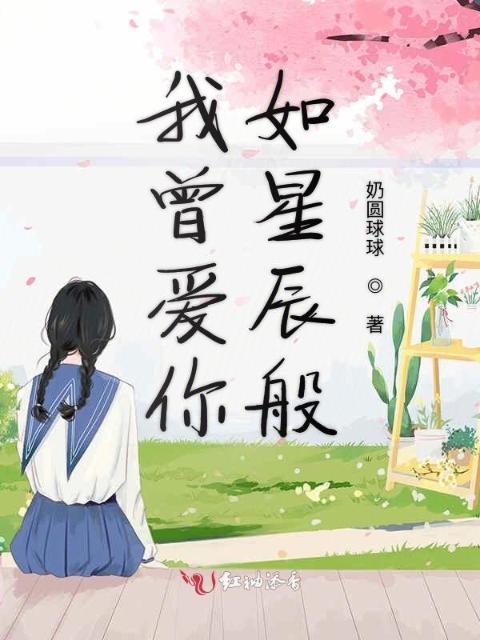 我曾爱你如星辰般