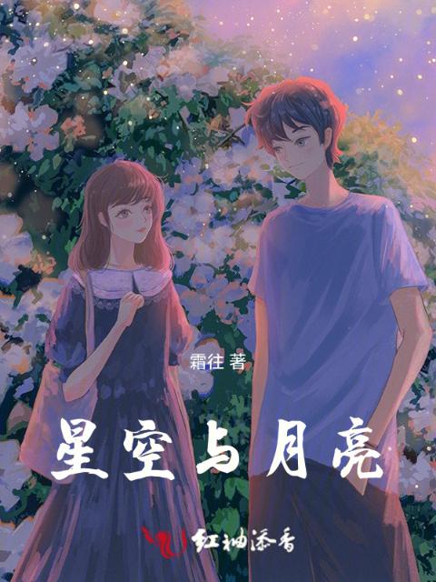 星空与月亮