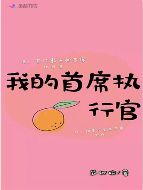 我的首席执行官