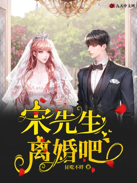 宋先生，离婚吧
