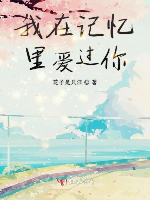 我在记忆里爱过你