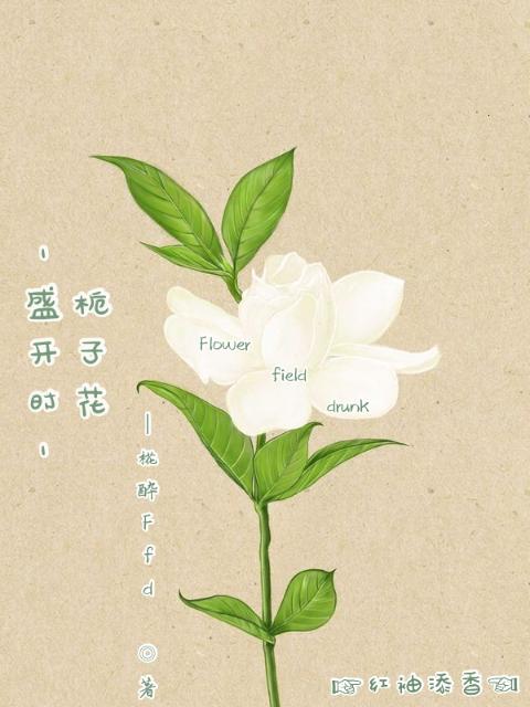 栀子花盛开时