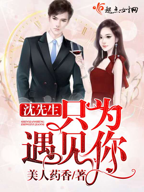 沈先生只为遇见你