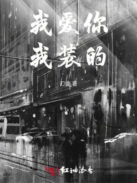 我爱你，我装的
