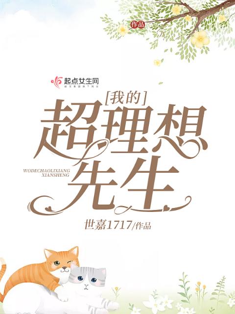 我的超理想先生