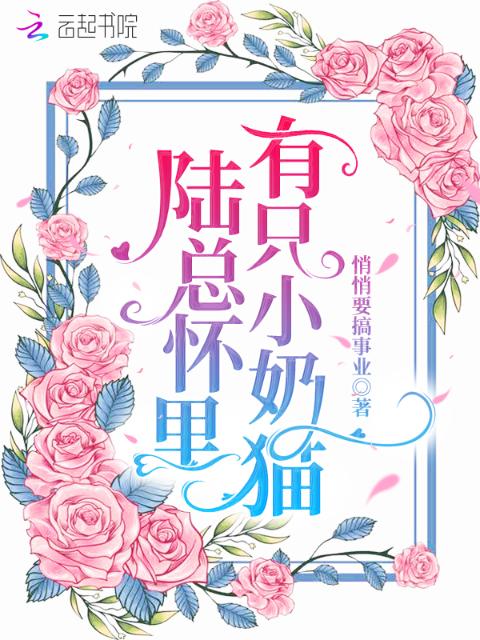 陆总怀里有只小奶猫