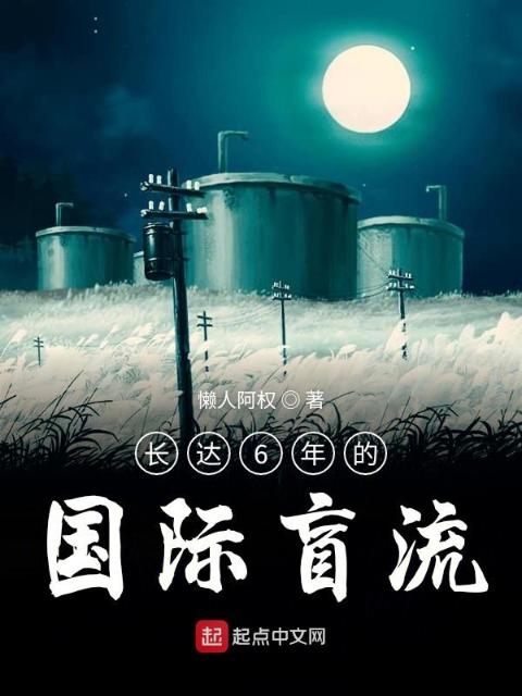 长达6年的国际盲流