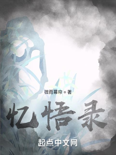 忆悟录