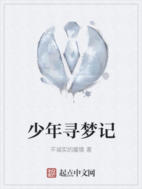 少年寻梦记
