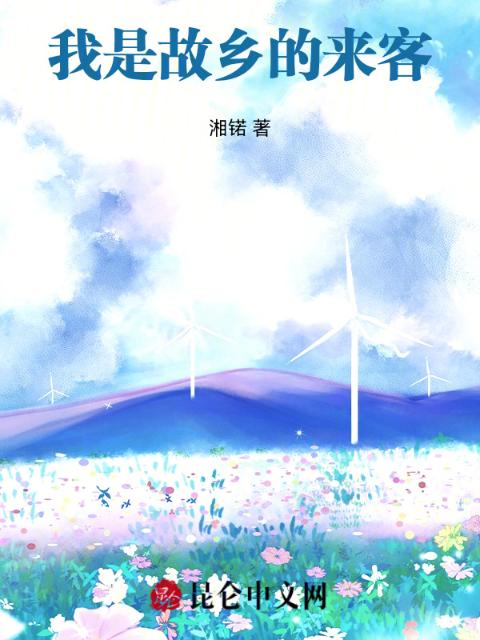 我是故乡的来客