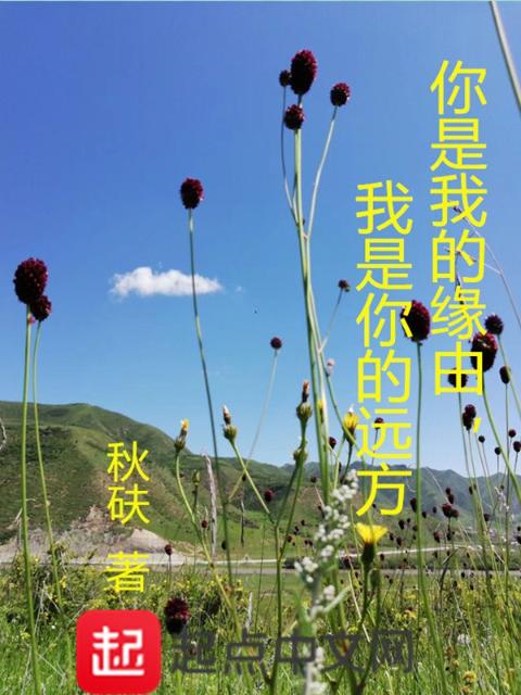 你是我的缘由，我是你的远方