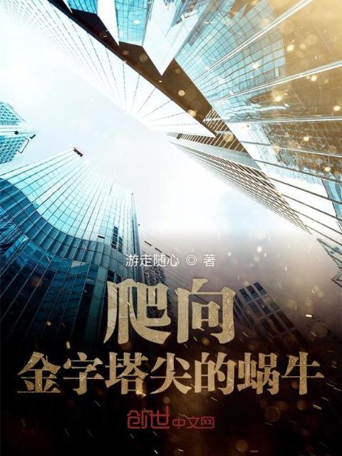 爬向金字塔尖的蜗牛