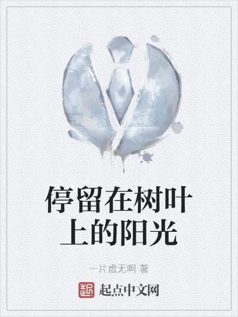 停留在树叶上的阳光