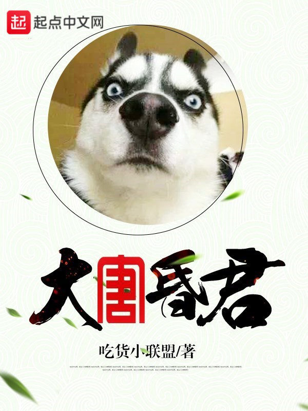 林凡叶惜免费阅读最新