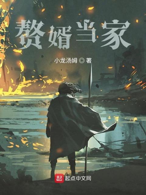 赘婿当家