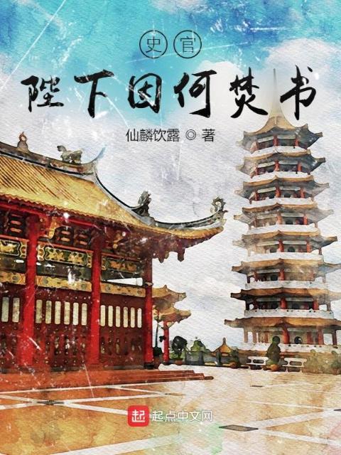 史官：陛下因何焚书？