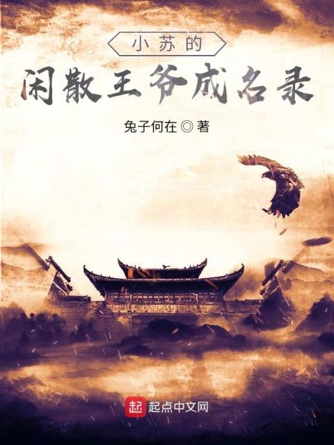 小苏的闲散王爷成名录