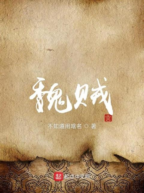 魏贼