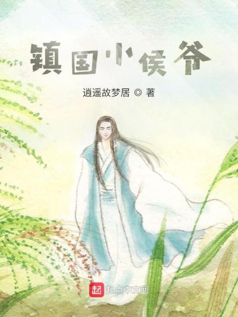 镇国小侯爷