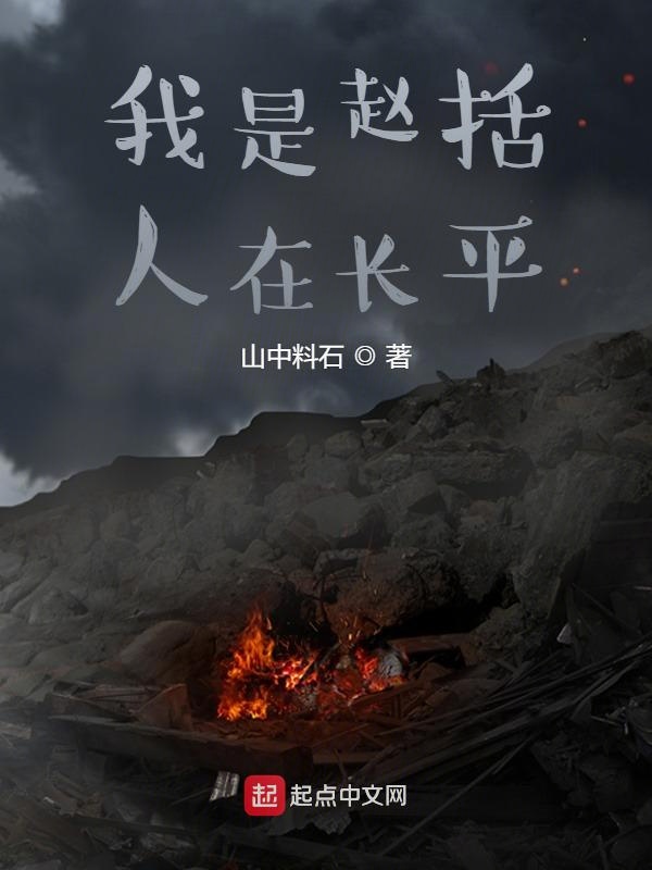 我是赵括，人在长平