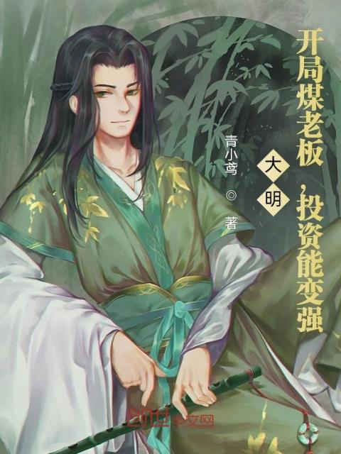 大明：开局煤老板，投资能变强