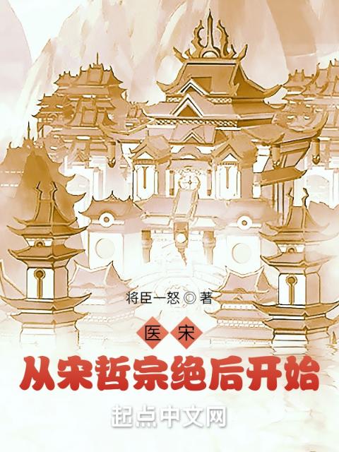 医宋：从宋哲宗绝后开始