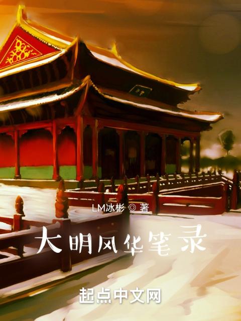 大明风华笔录