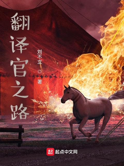 翻译官之路